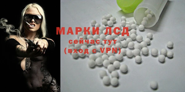 эйфоретик Беломорск