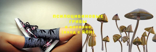 эйфоретик Беломорск